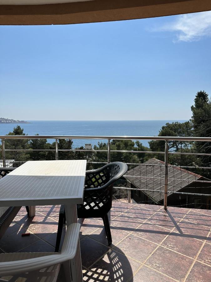 Apartment Villa Elena Bar Extérieur photo